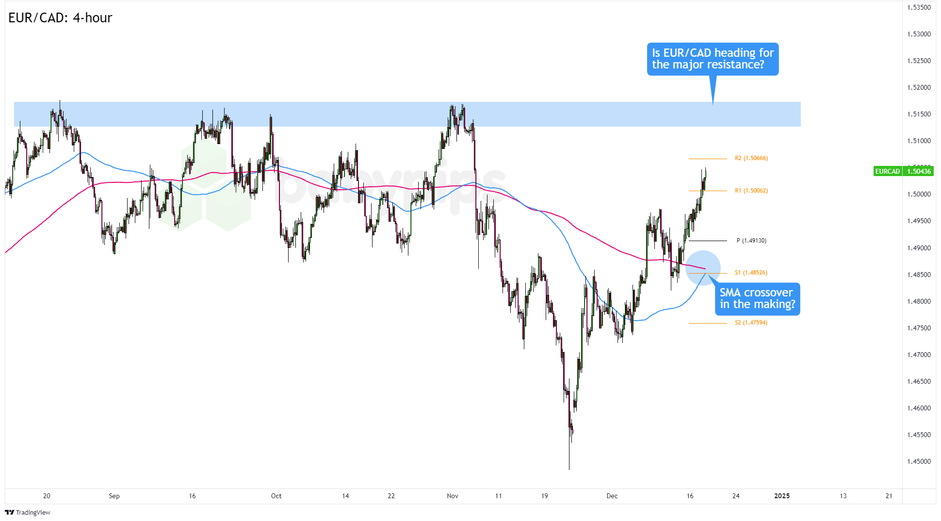 河北制造“铺进”巴黎奥运