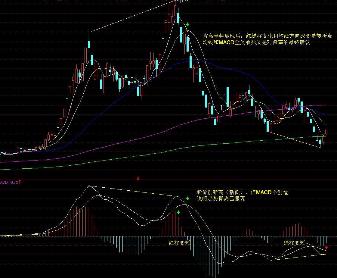 前4月我市外贸出口额6.5亿元