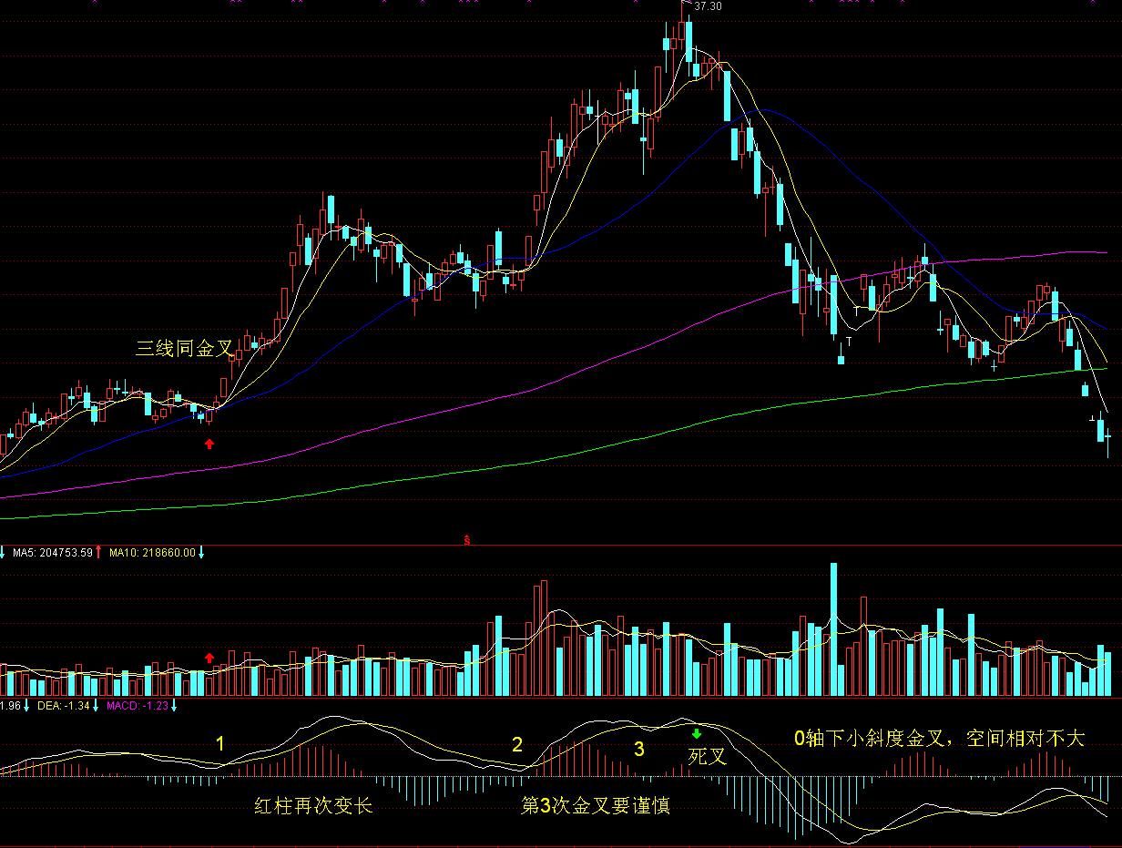 前4月我市外贸出口额6.5亿元