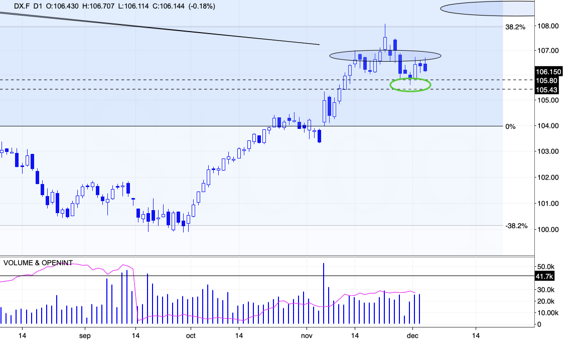 脏贝壳是“洋垃圾”?珍珠商行进口10余吨贝壳被罚50万